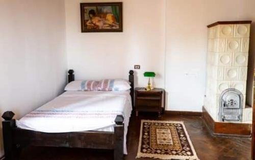 Runcu House | Conac boieresc La Colonelu