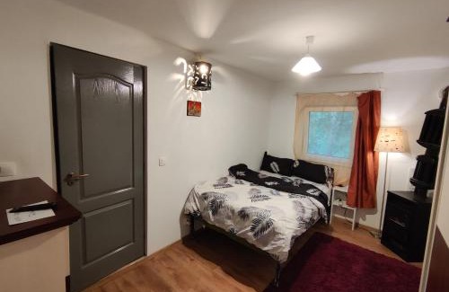 Lucieni House | Conacul Gory