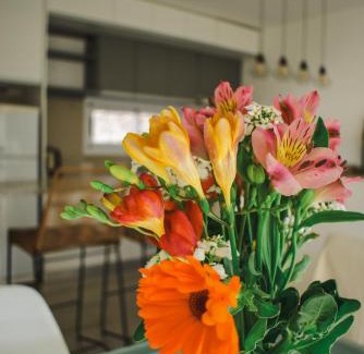 Villa Mercedes Apartment | Conana Apartment
