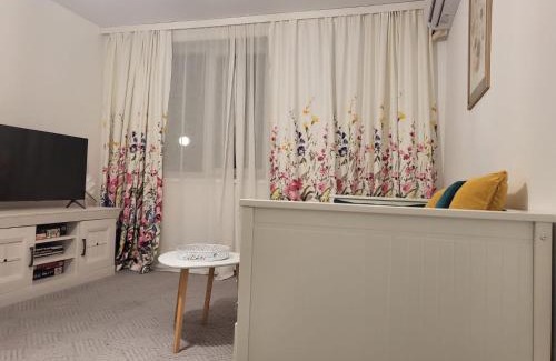 Baile Herculane Apartment | Concordia - apartament lângã Cazino
