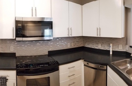 Astrodome Condo | Condo -Centrally located near football, museums, baseball, basketball, hospitals