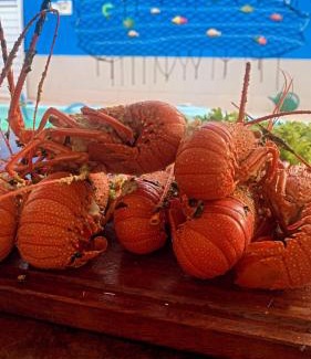 Guaibim House | Condomínio Lene Andrade