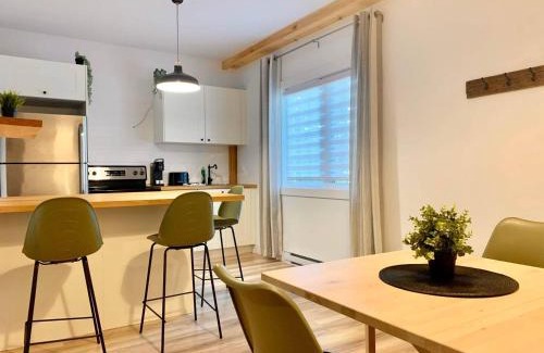 Saint Come Apartment | Condos St-Côme - Bohémien, au coeur des activités
