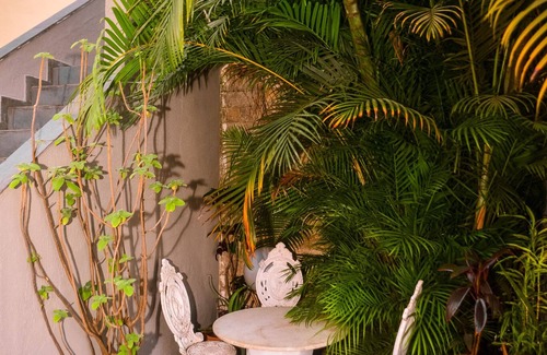 Sao Paulo House | Confortável Casa Na Vila Madalena Próx ao Metro. Aceitamos Pets!