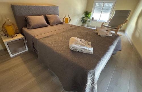 Ferreira do Alentejo House | Confort