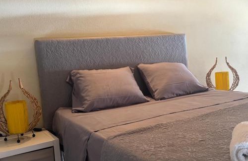 Ferreira do Alentejo House | Confort