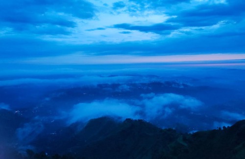 Shimla House | Conifers Homestay