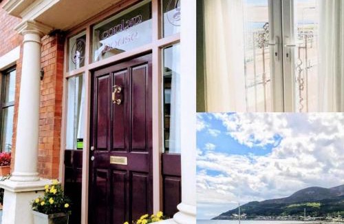 Newcastle Bed & Breakfast | Conlyn house