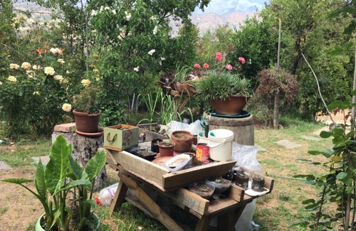 Olmue House | Connect with the Chilean native forest