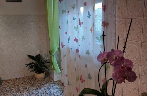 Fossacesia House | Conny's Green House