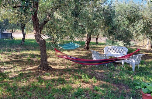 Santa Maria Imbaro House | Conny's Green House, Casa Immersa nel Verde di Uliveti Secolari Relax Garantito