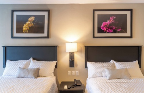 Zona 4 Hotel | Conquistador Hotel and Conference Center