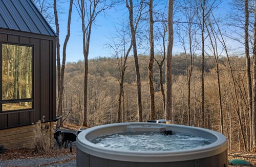 Almont Cabin | Constellation Cygnus Suite