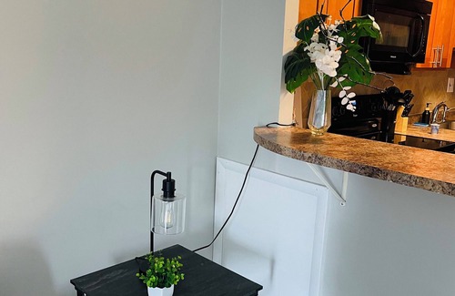 Elkins Park Apartment | Contact us for Long Stay Discount 1BR Condo | Free Parking, Balcony, Walk-In Closet! Enjoy a peaceful and modern 1-bedroom retreat with everything you need to relax, work remotely, or explore the Philadelphia area! Contact us for Discount