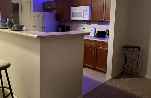 Hoover Apartment | Contemporary and Cozy Stay