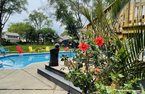 Middleton House | Contemporary home in quiet neighborhood with pool & great back yard close to all
