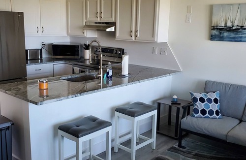 Port Clinton Condo | Contemporary Lake Erie Condo.