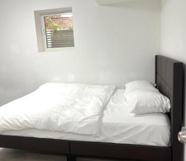 Markham House | Contemporary Private Basement Suite