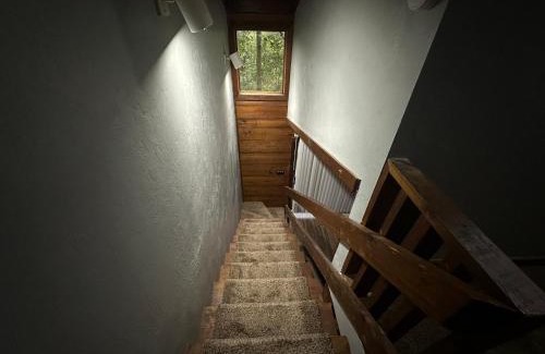 Tallahassee Apartment | Convenient, Cozy, Cheap, Comfortable