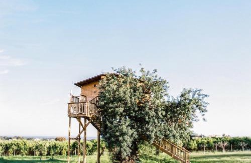 Vila Real Santo Antonio House | Conversas de Alpendre