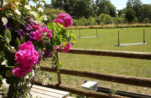 New Forest District Cottage | Converted from a old dairy into a beautiful, quaint cottage in The New Forest.