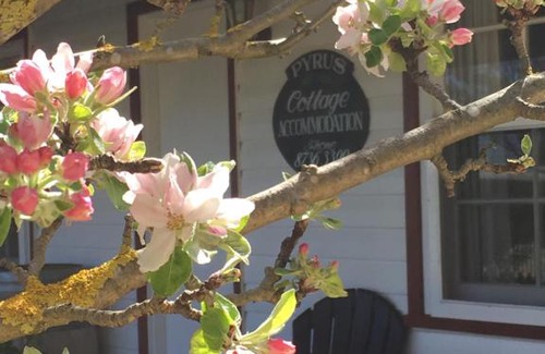 Comaum House | Coonawarra's Pyrus Cottage