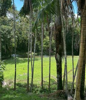 Castanhal House | COP 30 - Sítio Paraíso Eco Pousada