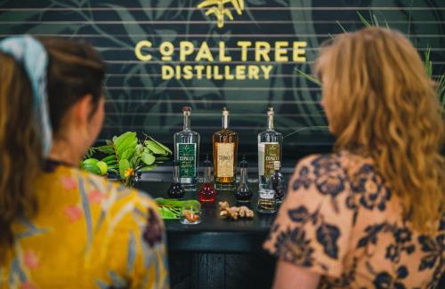 Punta Gorda Cabin | Copal Tree Lodge a Muy'Ono Resort