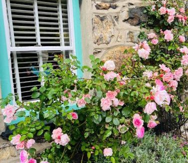 Beddgelert House | Copper Miner’s Cottage
