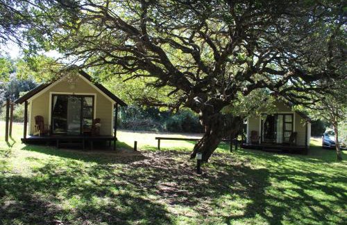 Sodwana Bay National Park Hotel | Coral Divers