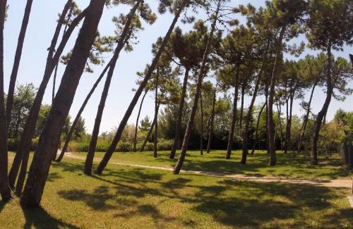 San Briccio Apartment | Corallo Apartments