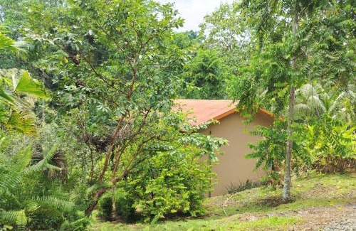 Puerto Jimenez Cabin | Corcovado Accommodations-pool-best views-nature