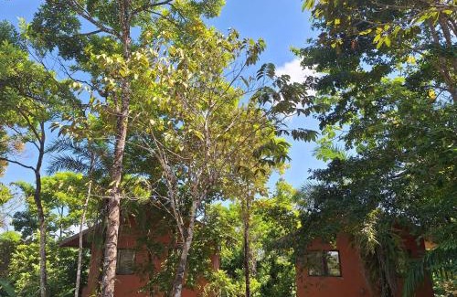 Puerto Jimenez House | Corcovado Private Houses-Villas-Tents-Nature-Relaxing