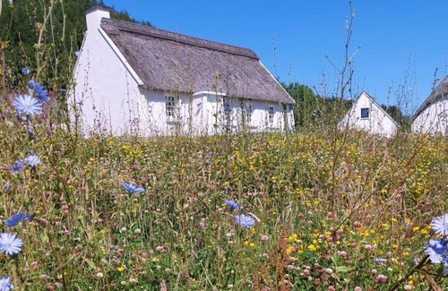 Killinaboy Cottage | Corofin Lake Cottages - 4 Bedrooms