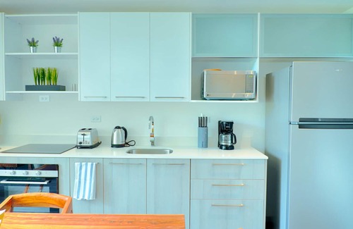 San Miguel Apartment | Corporate Stays | Arborea Flats | Modern 1 Bedroom I Santa Ana