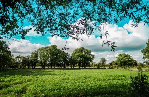 Annaghdown Apartment | Corrib View Farmhouse