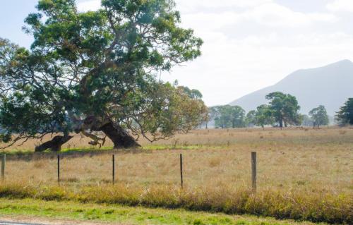 Dunkeld House | Corrugated Cottage