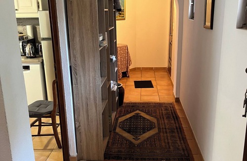 Querciolo Apartment | Corsica Cosy apartment