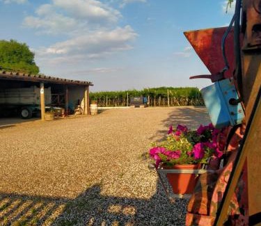 Monteforte d'Alpone House | Corte Ohana
