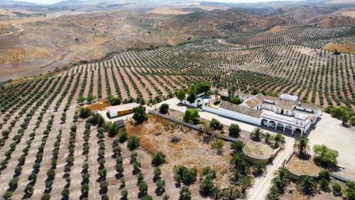 La Puebla de Cazalla House | Cortijo Doñana