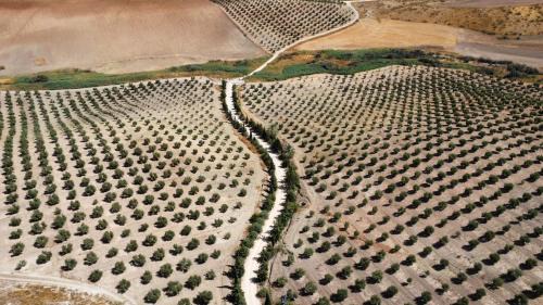 La Puebla de Cazalla House | Cortijo Doñana