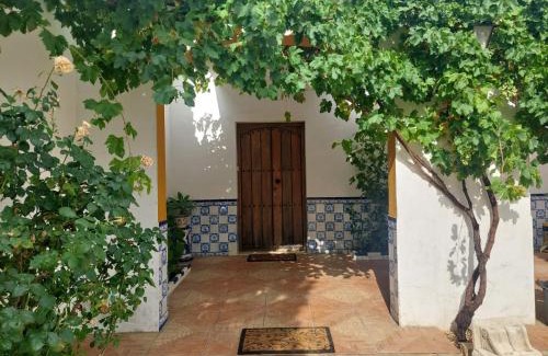 Puerto de Bejar House | Cortijo Las Cruces Guillena - Sevilla