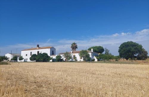 Puerto de Bejar House | Cortijo Las Cruces Guillena - Sevilla