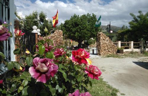 El Sauco House | Cortijo Los Soledad