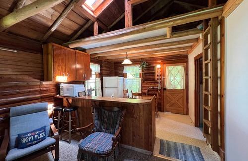 Cedarville Cabin | Coryell Cabin - Les Cheneaux Landing