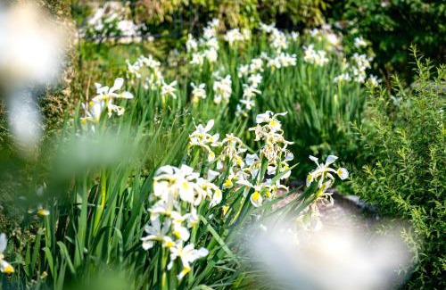 Bridgwater House | Cossington Park Cottage