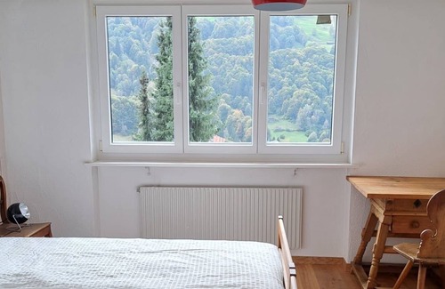 Saas im Prattigau Apartment | Cosy apartment close to skiing and hiking near Klosters