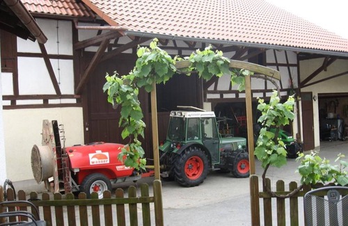 Frickingen Apartment | Cosy Apartment “Ferien- und Obsthof Müller” in Beautiful Countryside