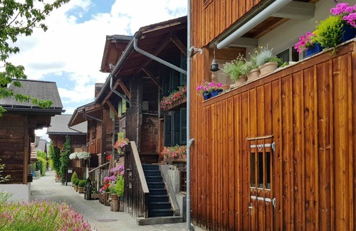 Saanen Apartment | Cosy apartment for 12 people with WIFI, TV, terrace and parking