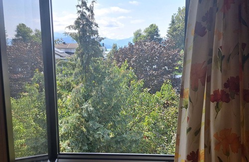 Seewalchen am Attersee Apartment | Cosy apartment for 4 people with WIFI, TV, patio, panoramic view and parking